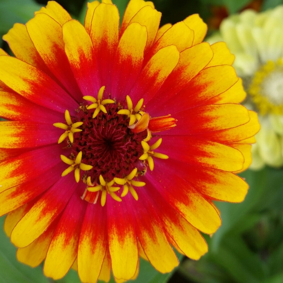 Welcome! - Picture 1 of 1